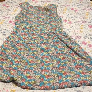 Matilda Jane floral dress.  Size 14, NWT